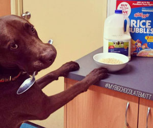 Musa helping with breakfast preparation