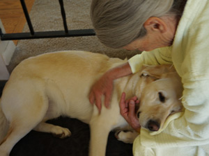 Marcia touches her guide dog in bed