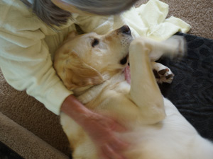 Viviane shifts for a belly rub from Marcia