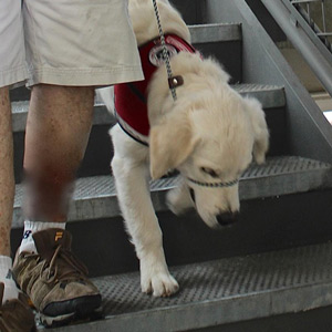 Cam’O focuses on his training as he walks with care down a metal grated stairway.